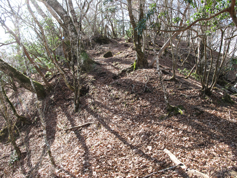 20161206hike (236)